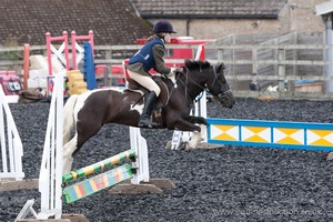 Class 2 -  Fences not above 2'